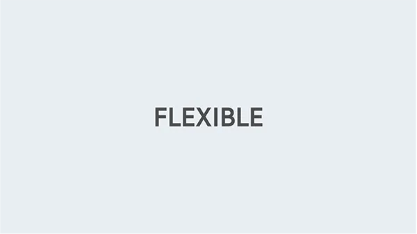 flexible-program-options